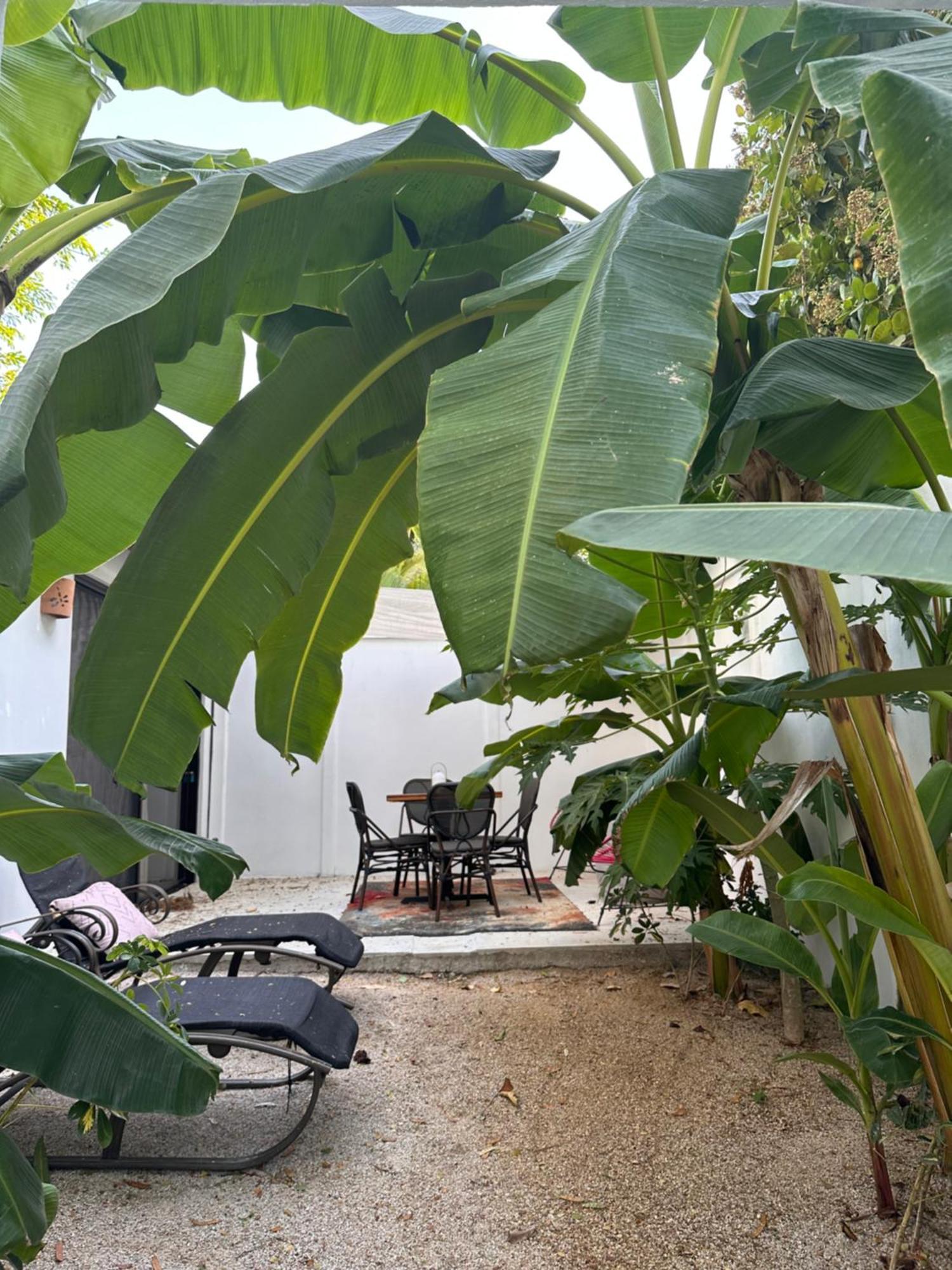 Curiol Boutique Hotel & Lounge Potrero  Eksteriør bilde