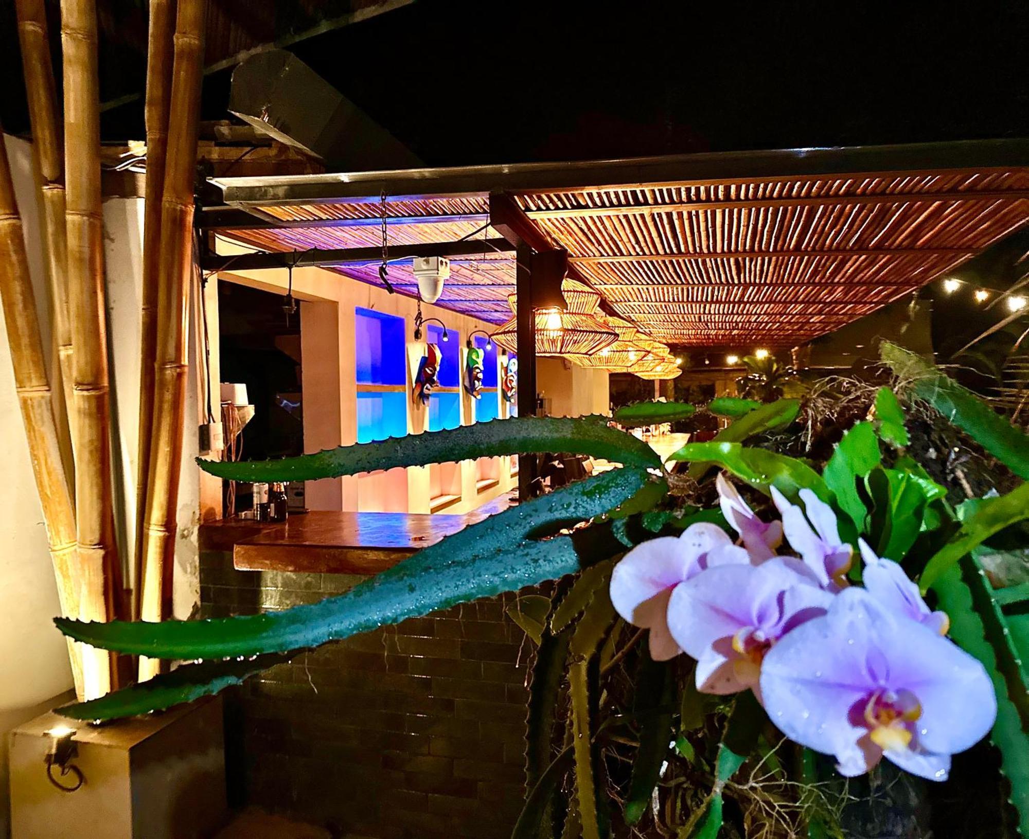 Curiol Boutique Hotel & Lounge Potrero  Eksteriør bilde