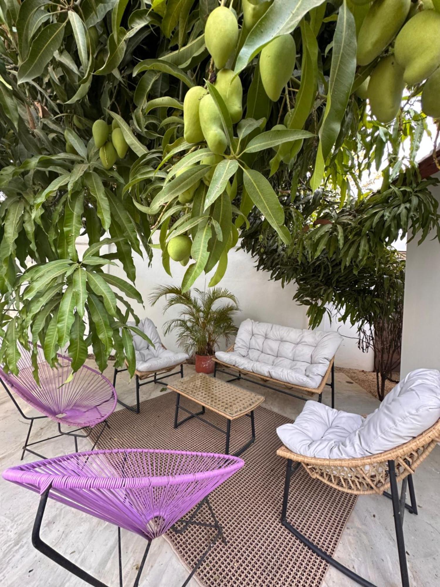 Curiol Boutique Hotel & Lounge Potrero  Eksteriør bilde